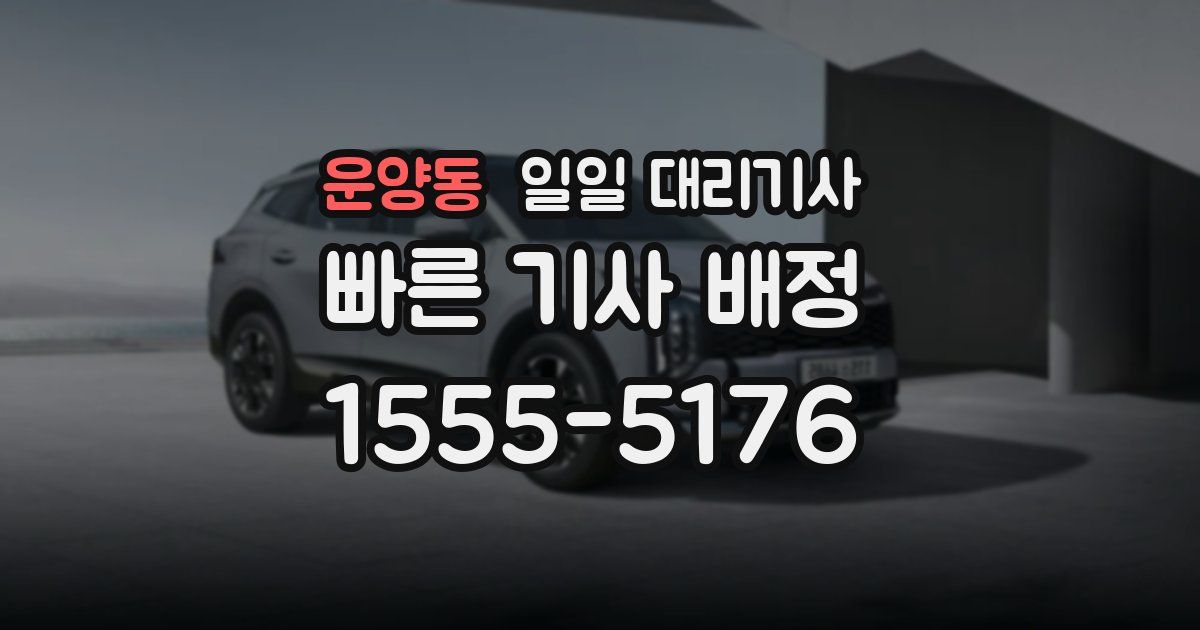 운양동 일일 대리기사
