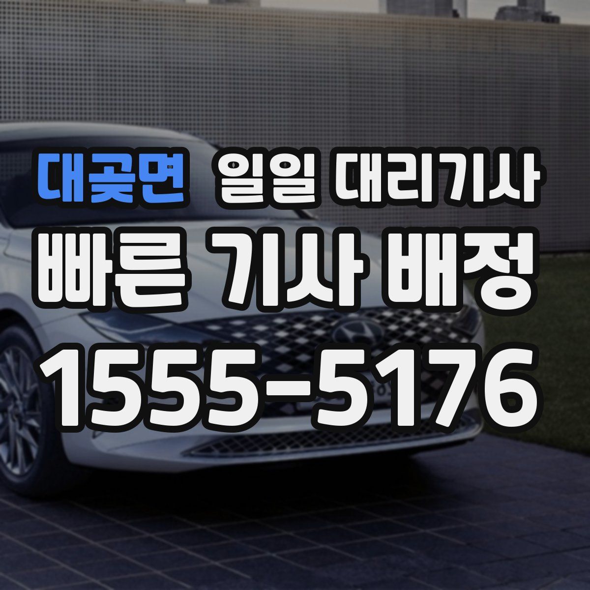 대곶면 일일 대리기사