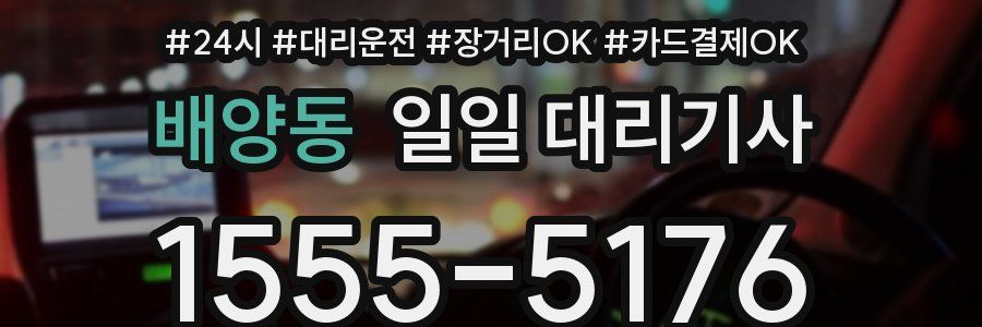 배양동 일일 대리기사