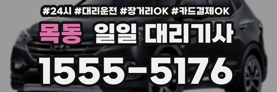 목동 일일 대리기사