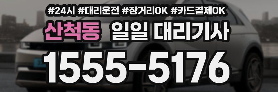 산척동 일일 대리기사