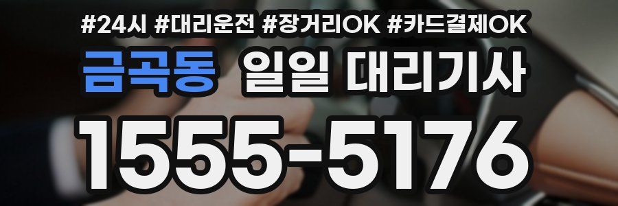 금곡동 일일 대리기사
