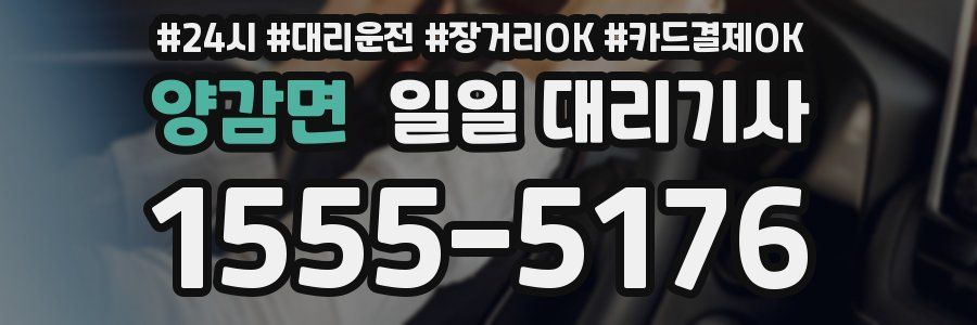 양감면 일일 대리기사