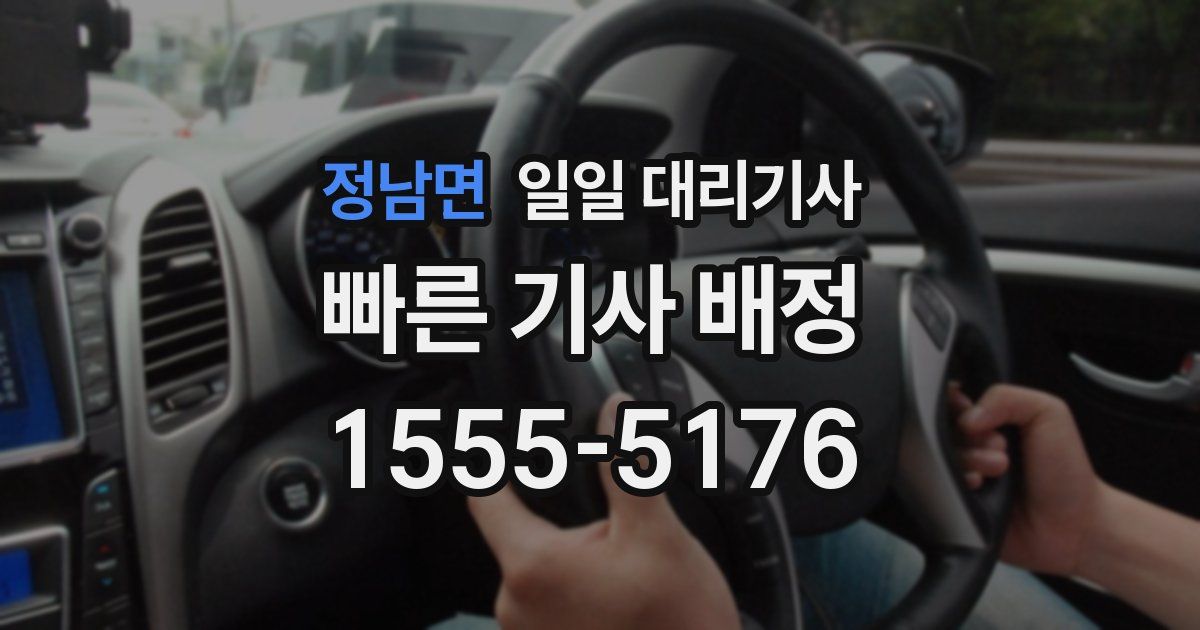 정남면 일일 대리기사