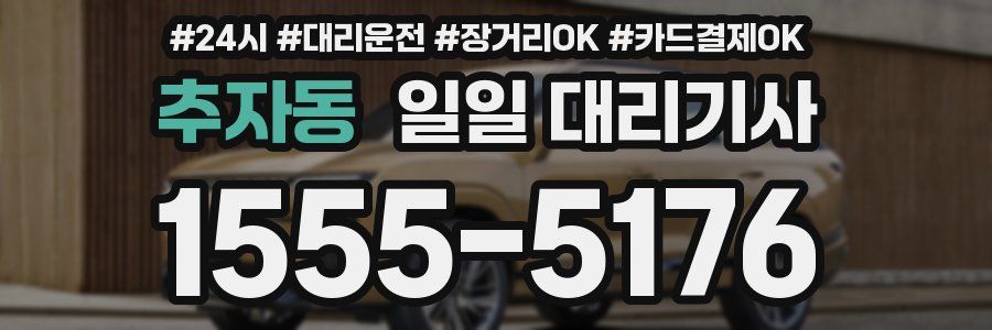 추자동 일일 대리기사