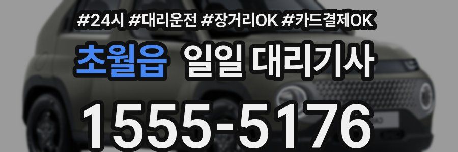 초월읍 일일 대리기사