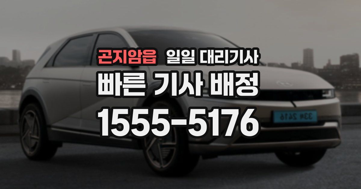 곤지암읍 일일 대리기사