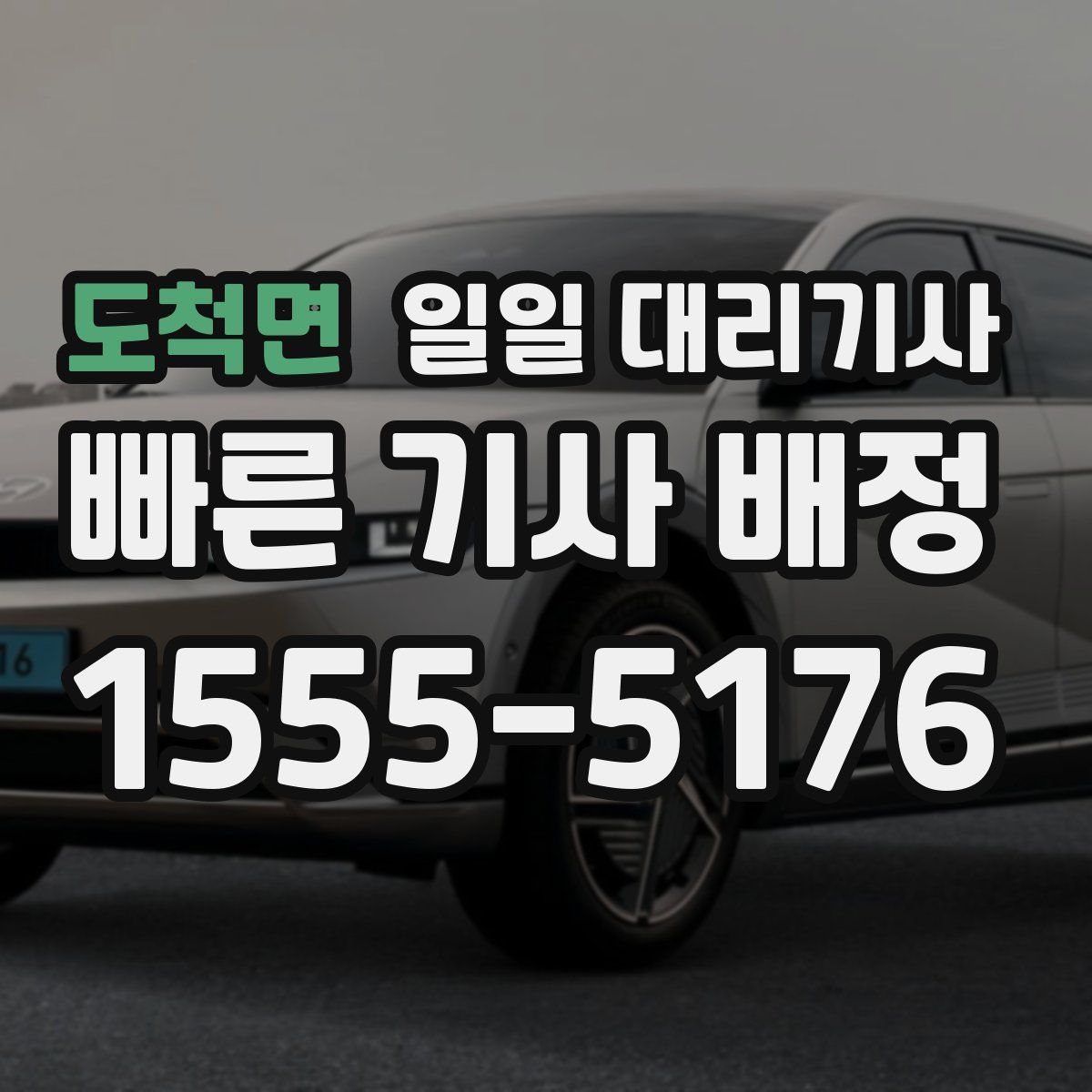 도척면 일일 대리기사