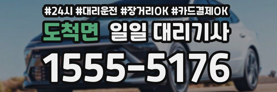 도척면 일일 대리기사