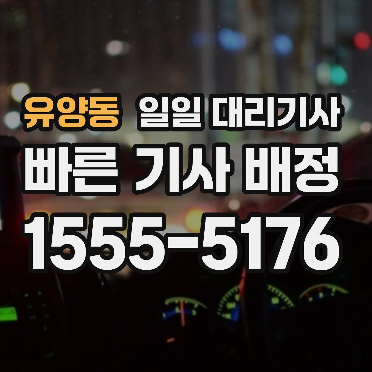 유양동 일일 대리기사