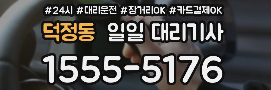 덕정동 일일 대리기사