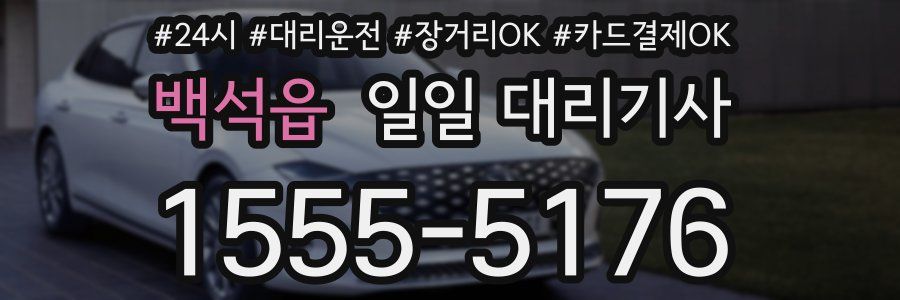 백석읍 일일 대리기사