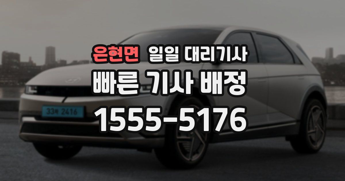 은현면 일일 대리기사