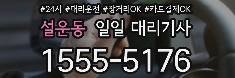 설운동 일일 대리기사