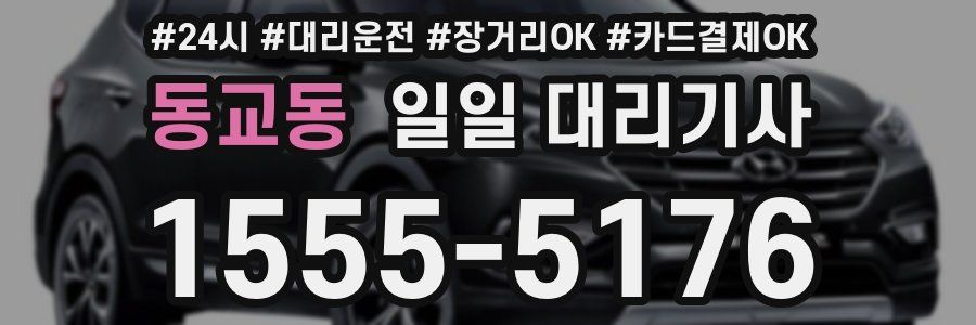 동교동 일일 대리기사