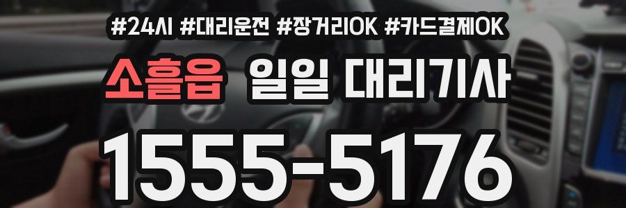 소흘읍 일일 대리기사