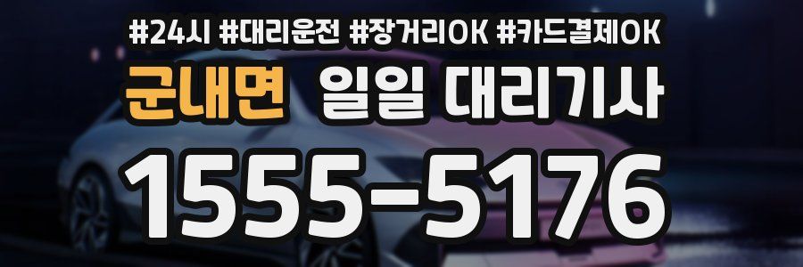 군내면 일일 대리기사
