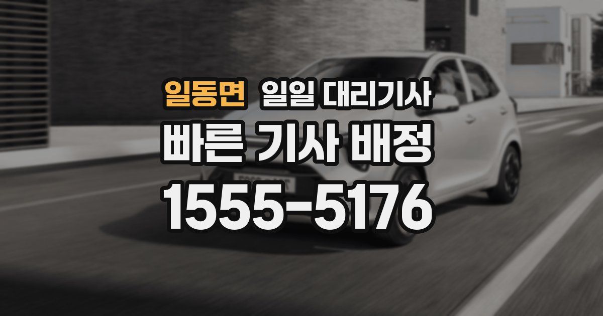 일동면 일일 대리기사