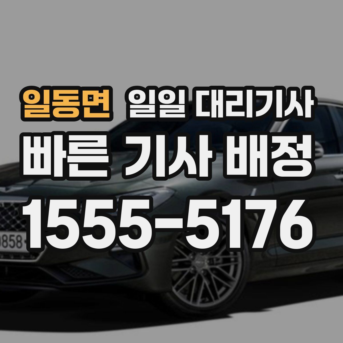 일동면 일일 대리기사