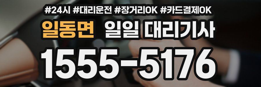 일동면 일일 대리기사