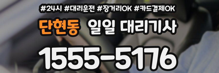 단현동 일일 대리기사