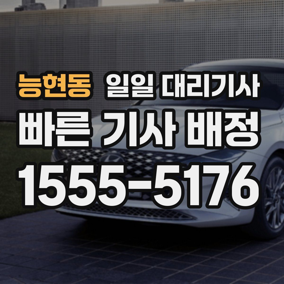 능현동 일일 대리기사