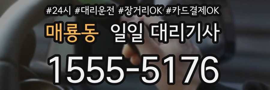 매룡동 일일 대리기사