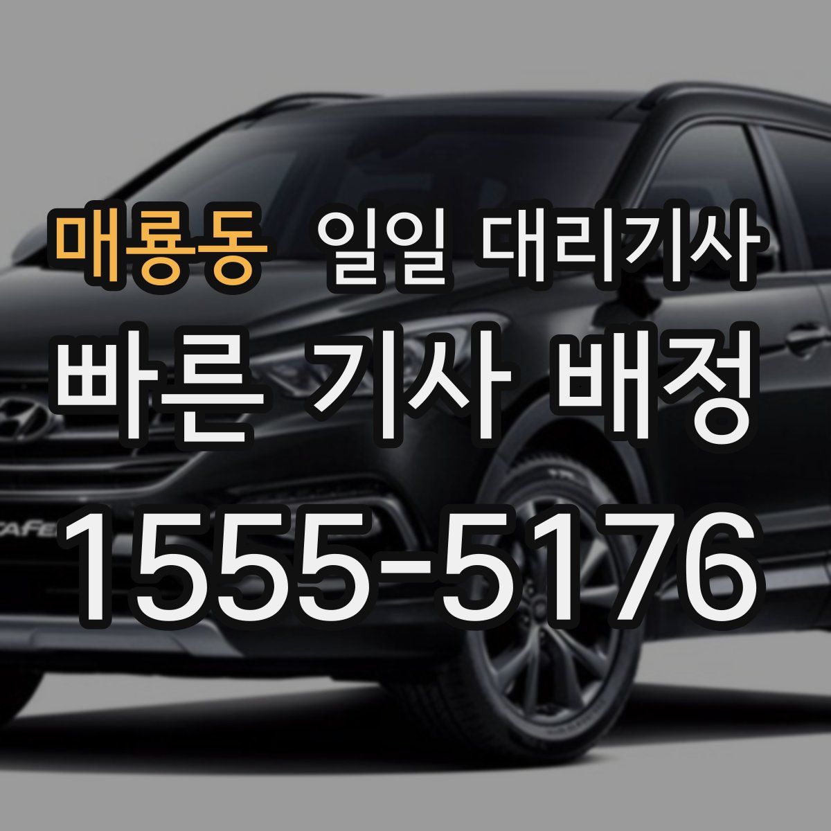매룡동 일일 대리기사