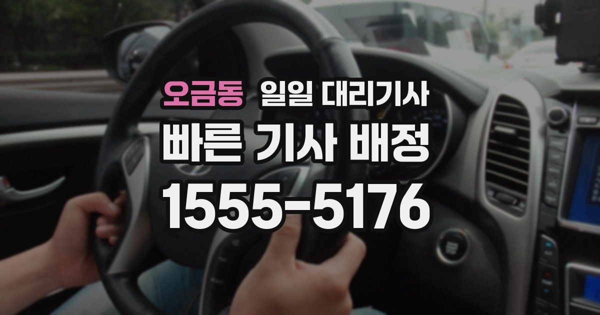 오금동 일일 대리기사