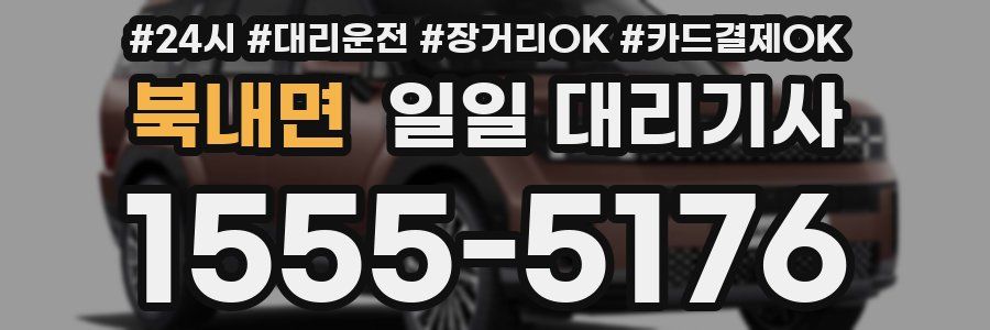 북내면 일일 대리기사