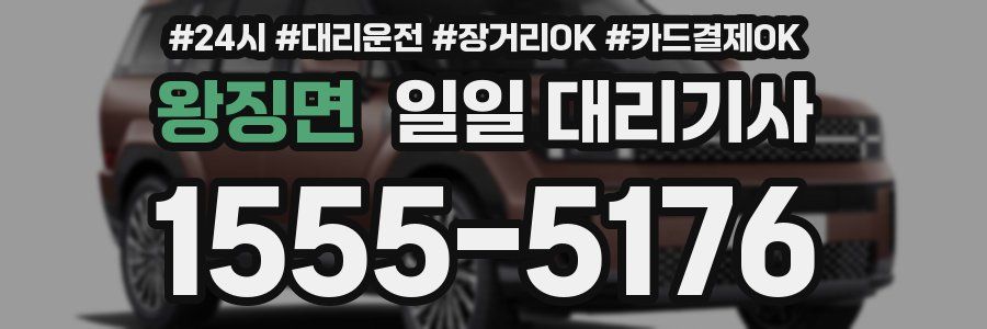 왕징면 일일 대리기사