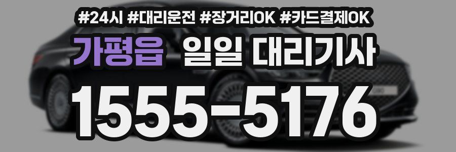 가평읍 일일 대리기사