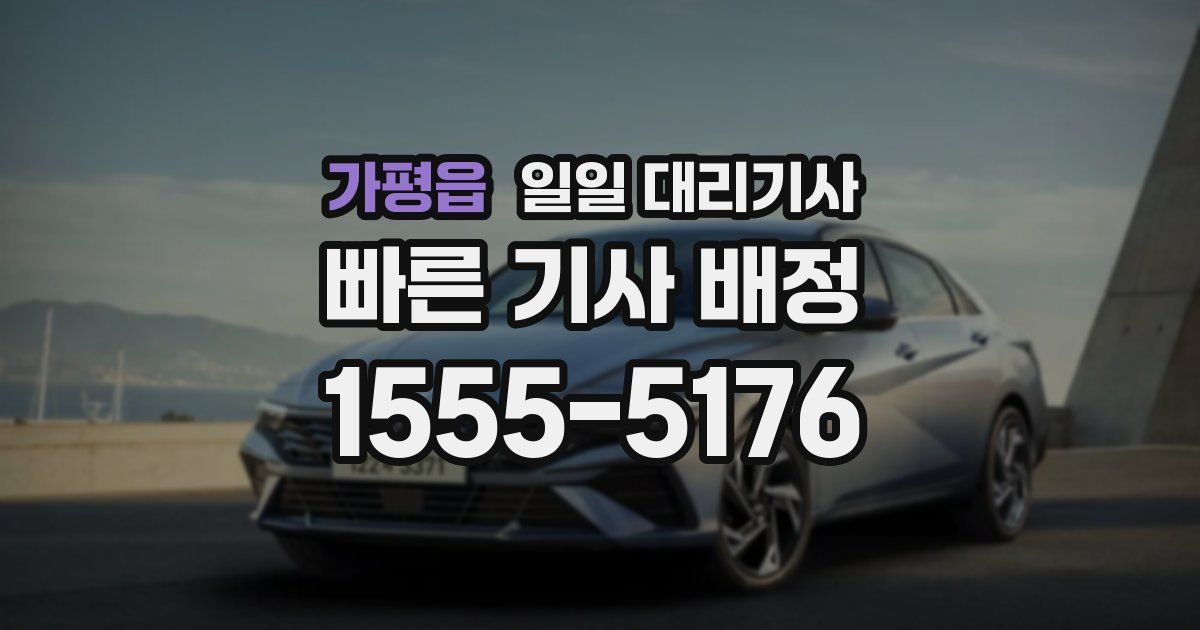 가평읍 일일 대리기사
