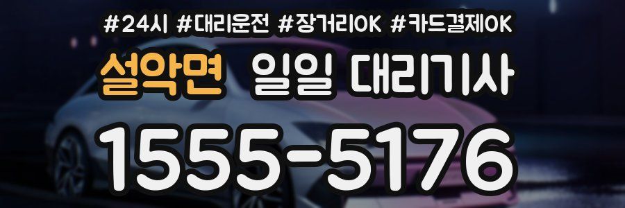 설악면 일일 대리기사
