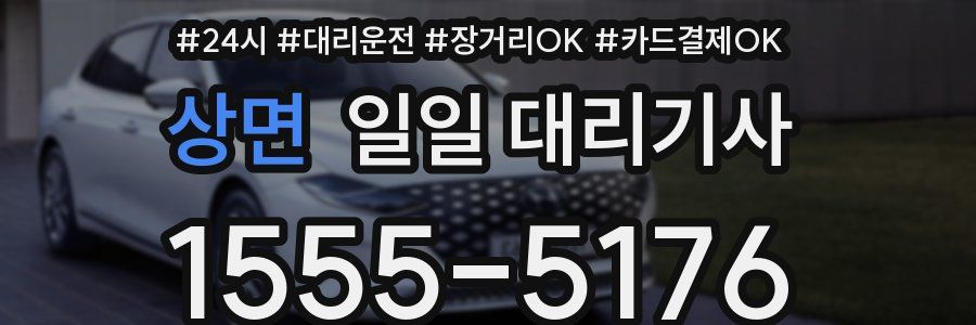 상면 일일 대리기사