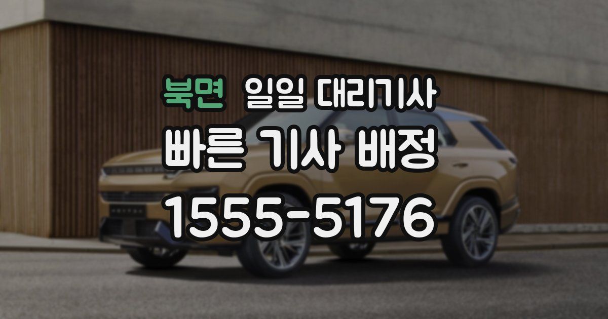 북면 일일 대리기사