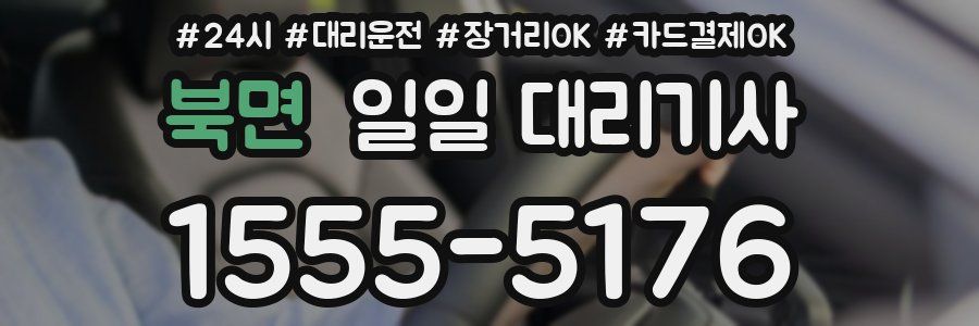 북면 일일 대리기사