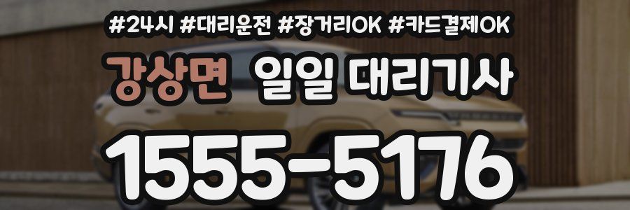 강상면 일일 대리기사