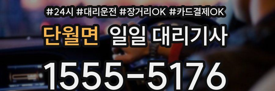 단월면 일일 대리기사