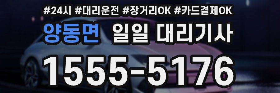 양동면 일일 대리기사