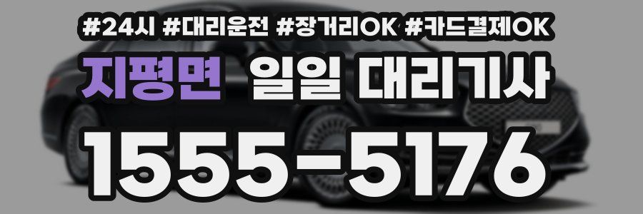 지평면 일일 대리기사