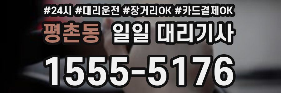 평촌동 일일 대리기사