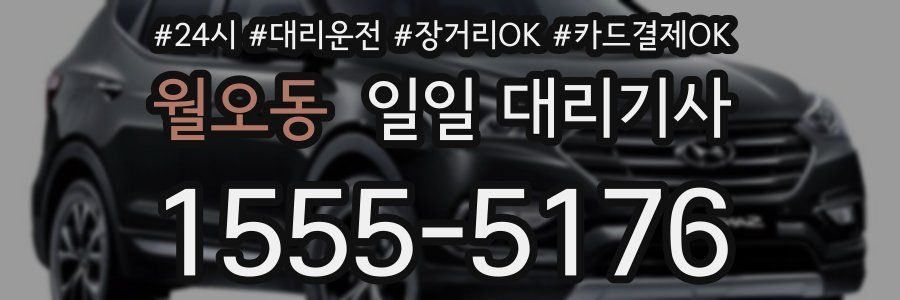 월오동 일일 대리기사