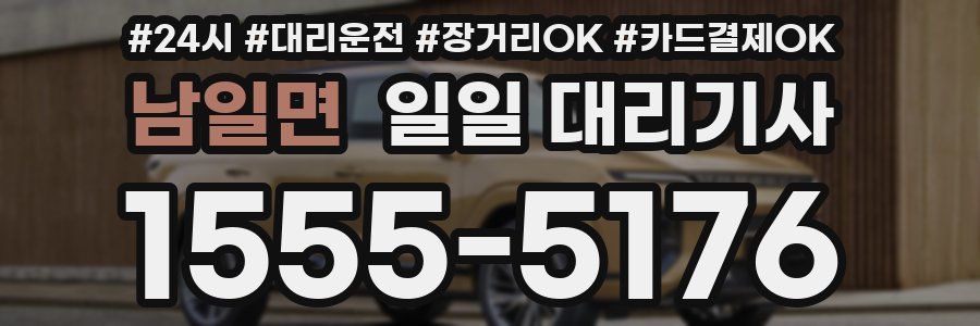 남일면 일일 대리기사