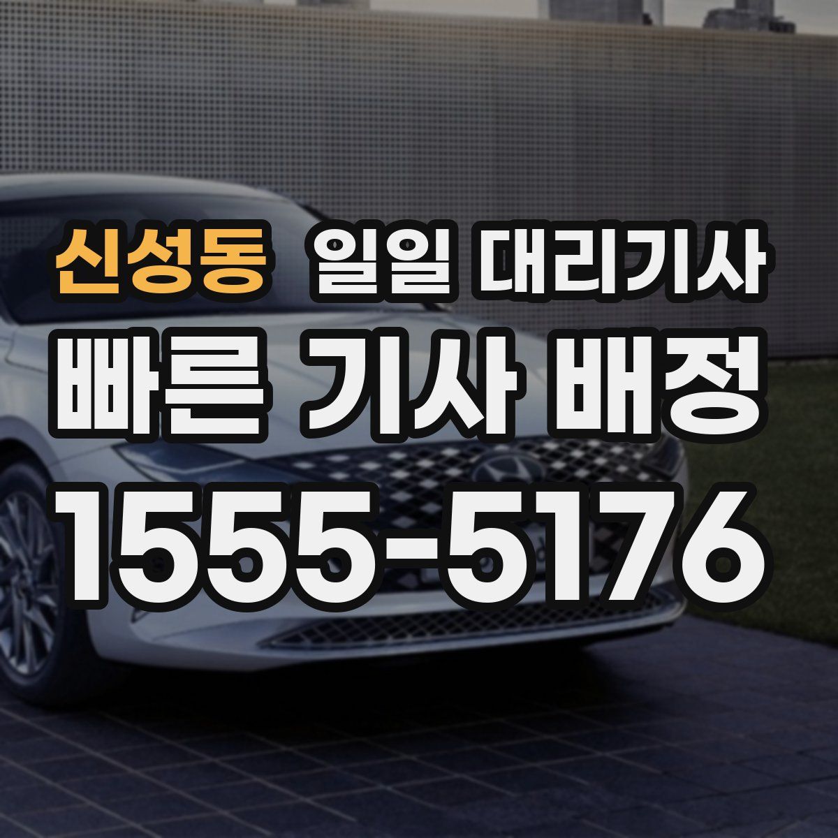 신성동 일일 대리기사