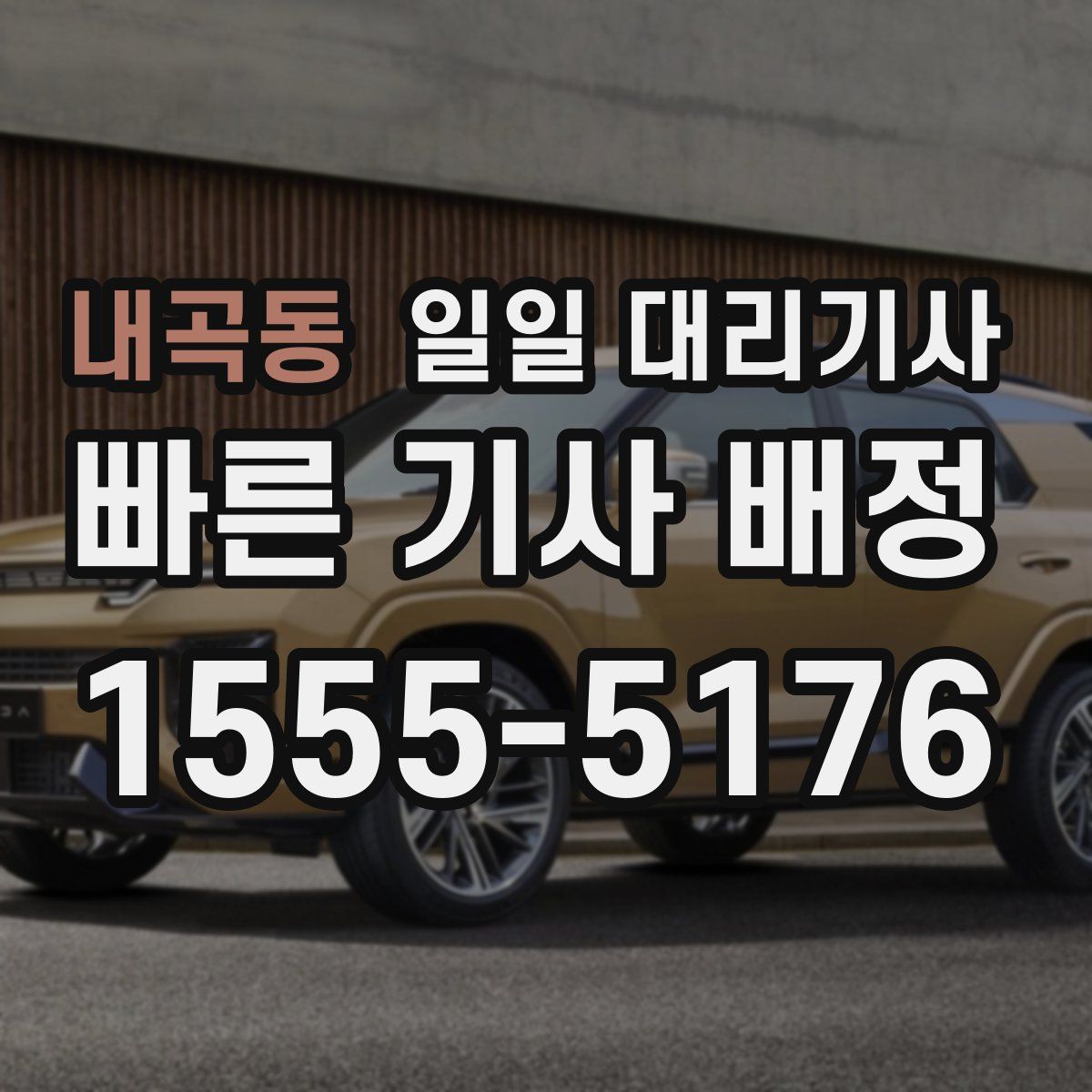 내곡동 일일 대리기사