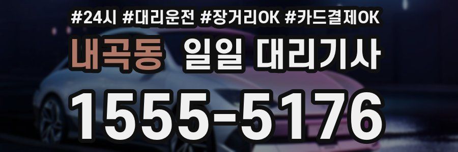 내곡동 일일 대리기사