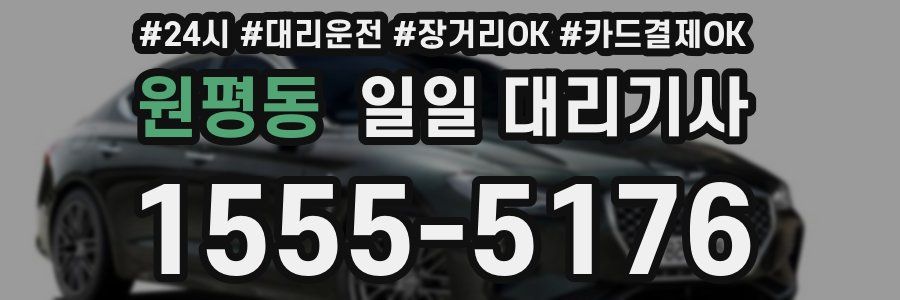 원평동 일일 대리기사