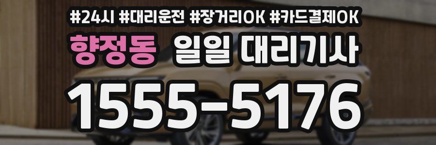 향정동 일일 대리기사