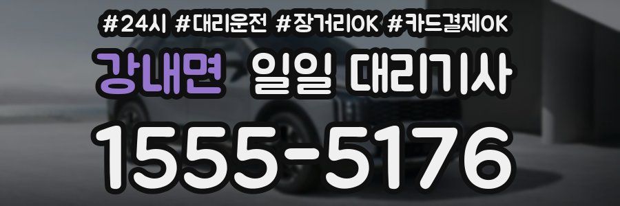 강내면 일일 대리기사